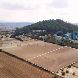 Sehr schönes und sehr ruhig gelegenes Baugrundstück bei Sineu